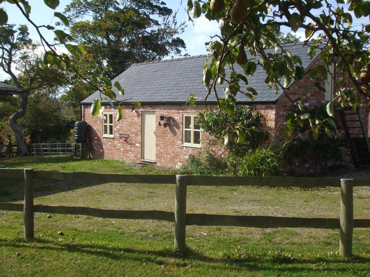 Little Pentre Barn With Cosy Logburner Villa Wrexham Exterior foto