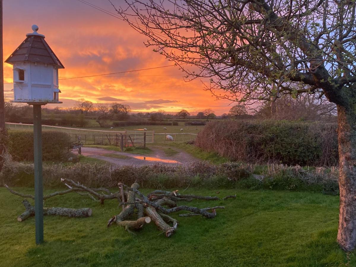 Little Pentre Barn With Cosy Logburner Villa Wrexham Exterior foto